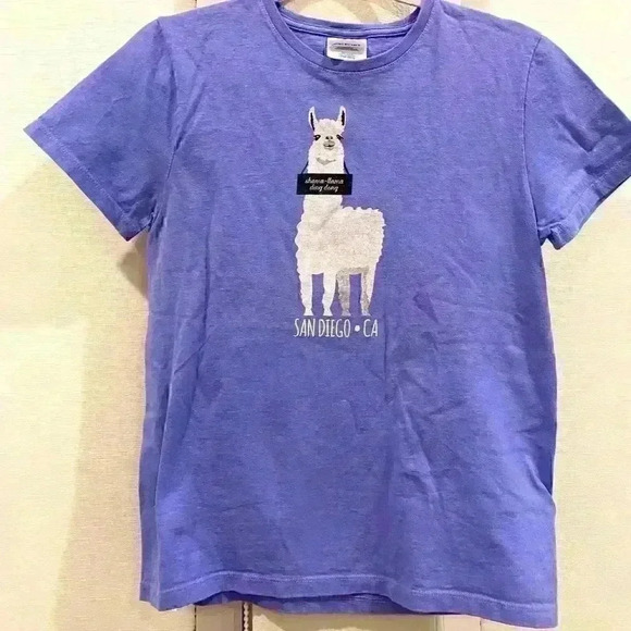 San Diego souvenir t shirt “shama llama ding dong” in pastel lilac purple Sz S - Picture 1 of 4